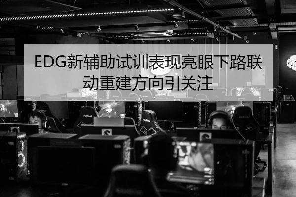 EDG新辅助试训表现亮眼下路联动重建方向引关注